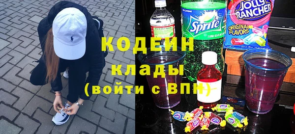 индика Лабытнанги