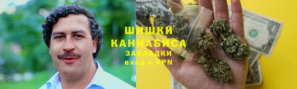 индика Лабытнанги