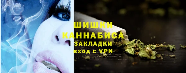 индика Лабытнанги