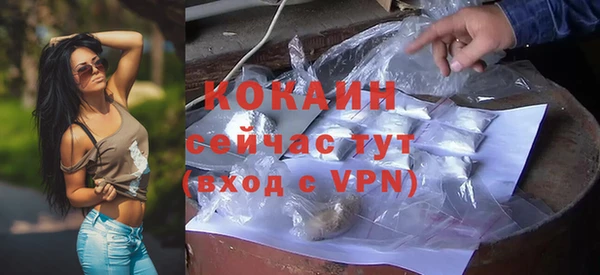 индика Лабытнанги