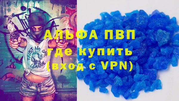 индика Лабытнанги