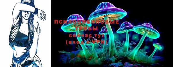 индика Лабытнанги