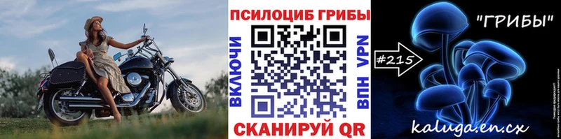 Псилоцибиновые грибы Cubensis  цены наркотик  Тында 