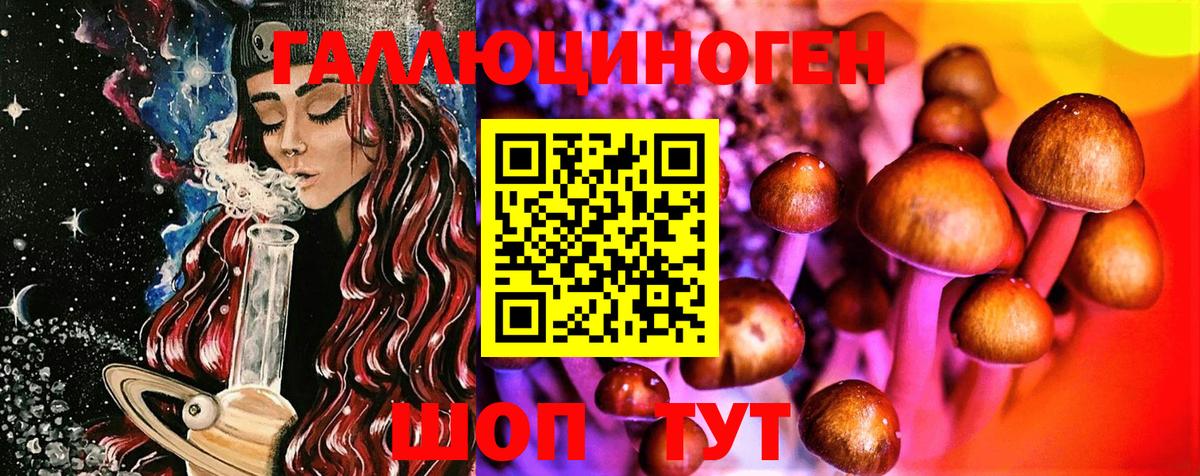 Псилоцибиновые грибы мицелий Тында